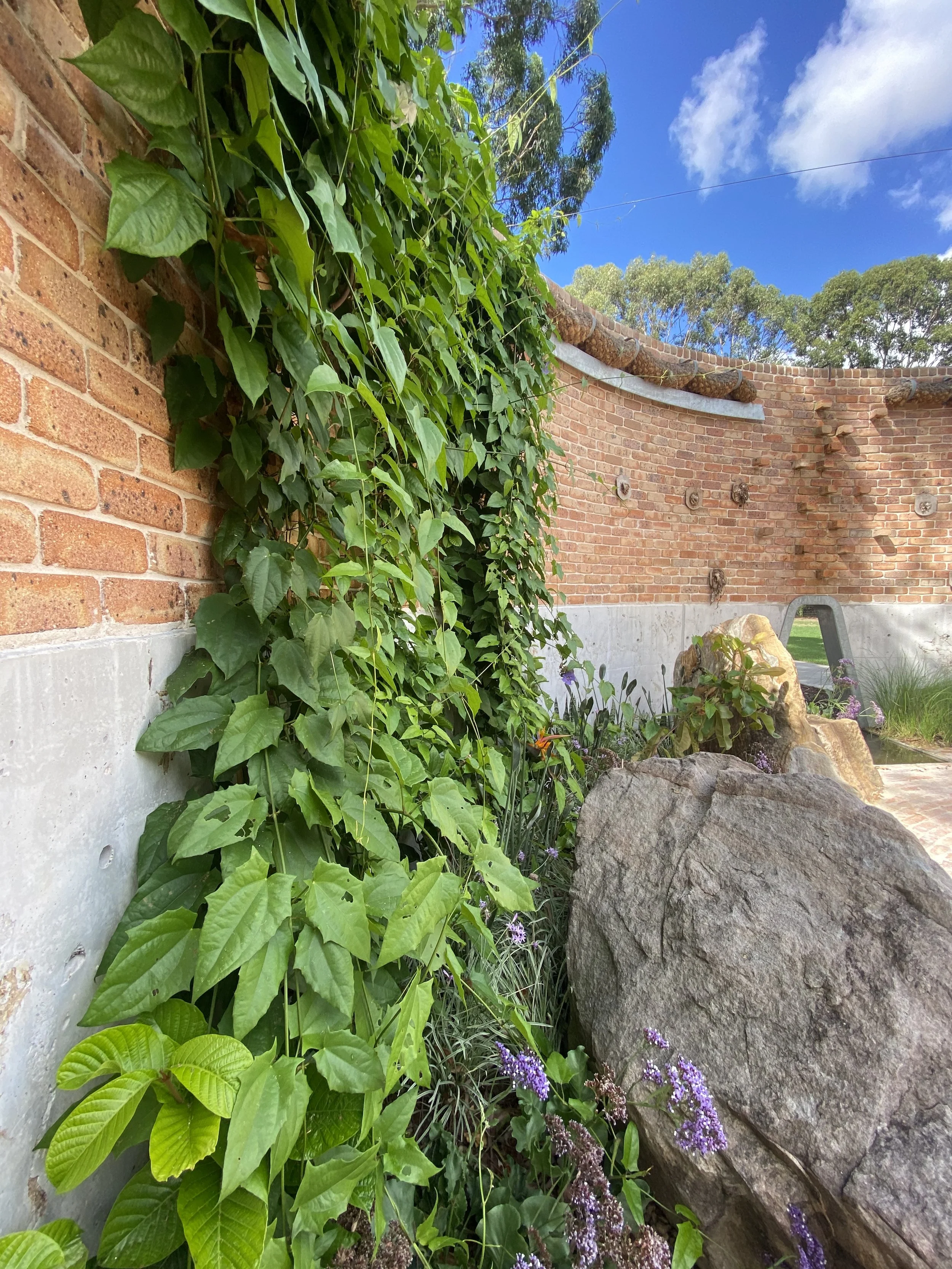 Photo 10-2-21, 10 27 13 am.jpg