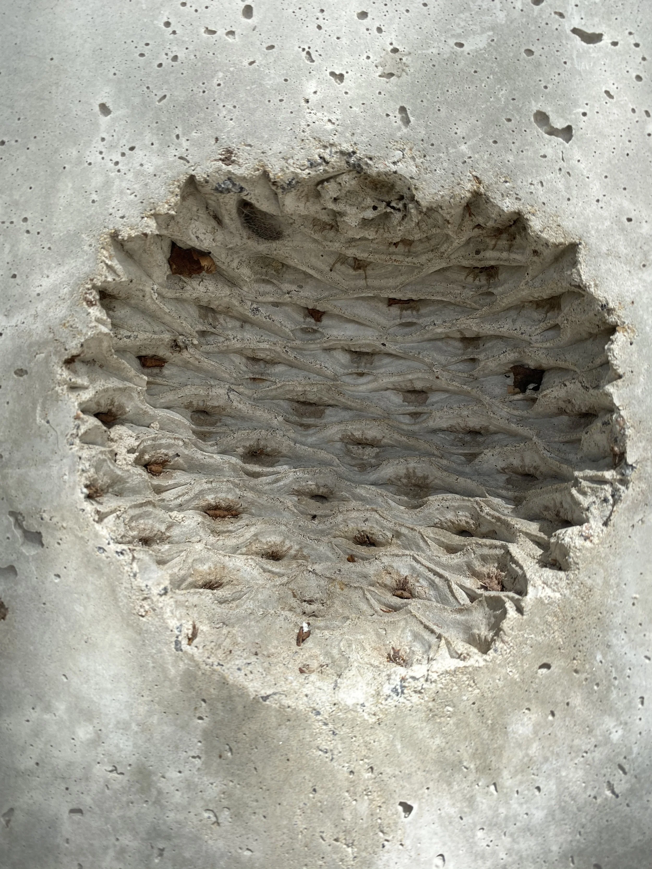 Photo 10-2-21, 10 21 38 am.jpg