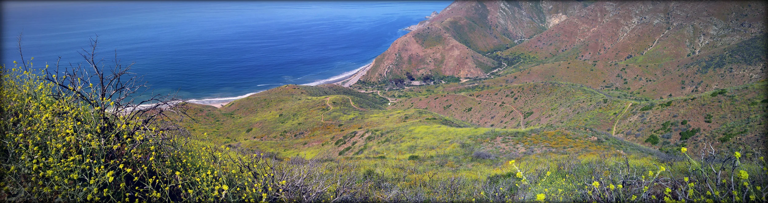 ray-miller-trail-point-magu-2560x679.jpg