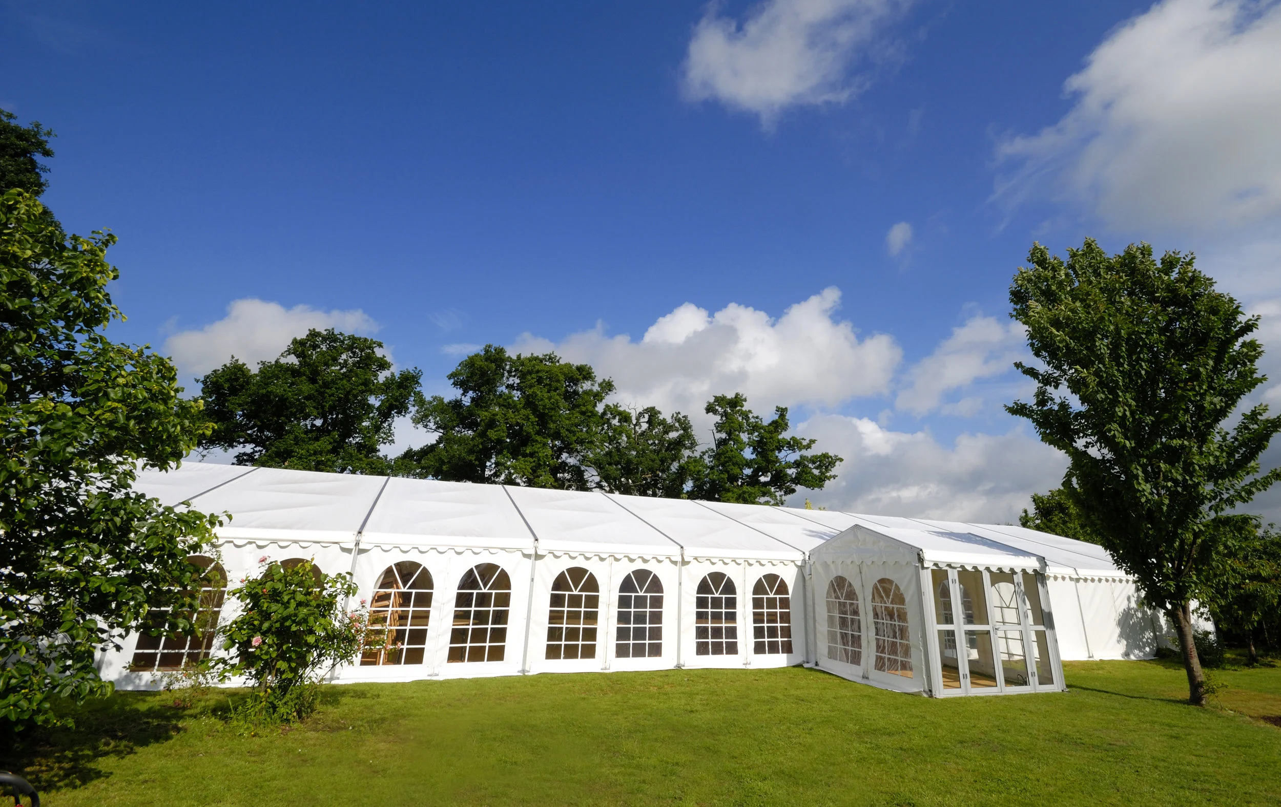 Find a marquee company.jpeg