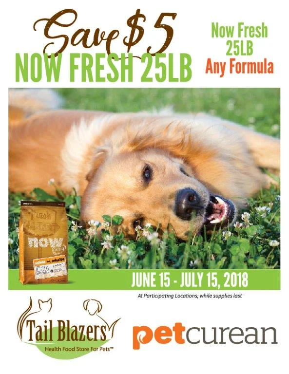 PetcureanJune-July2018-poster-web-1.jpg