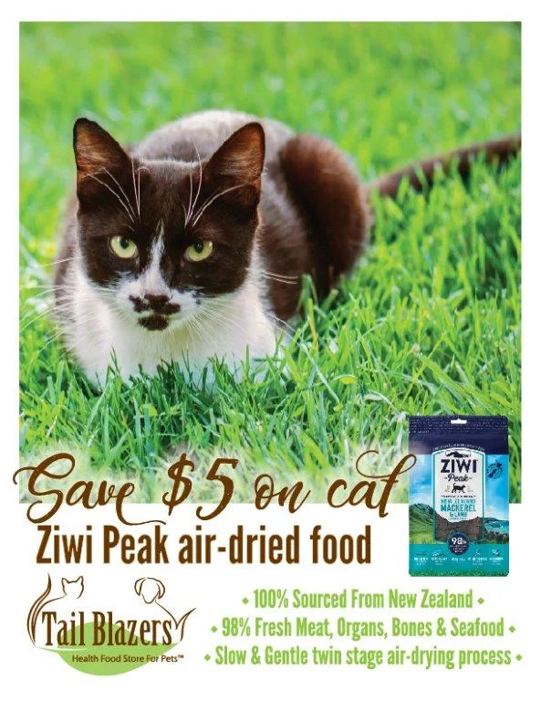 Ziwi-June2018-cat-webposter.jpg
