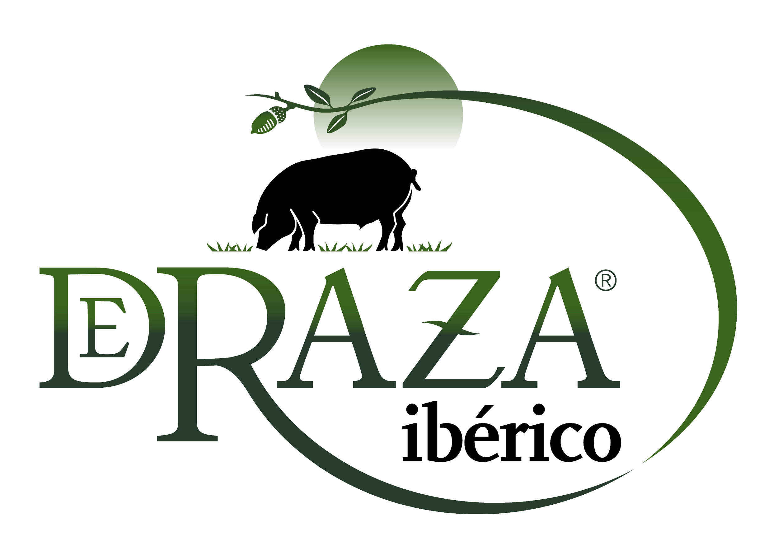 Deraza Logo.jpg