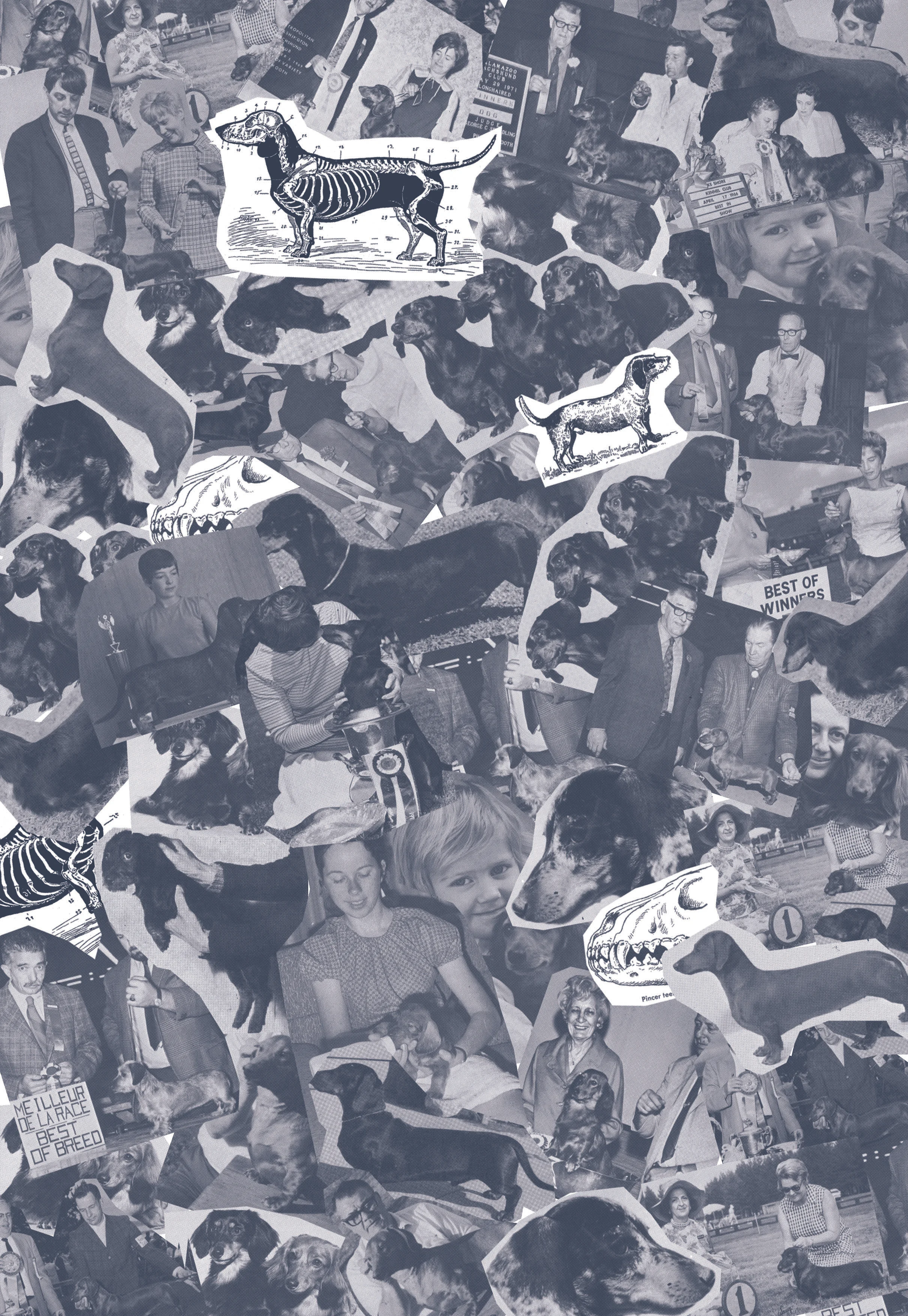 Dachshund Cafe_Collage_FA_CMYK.jpg