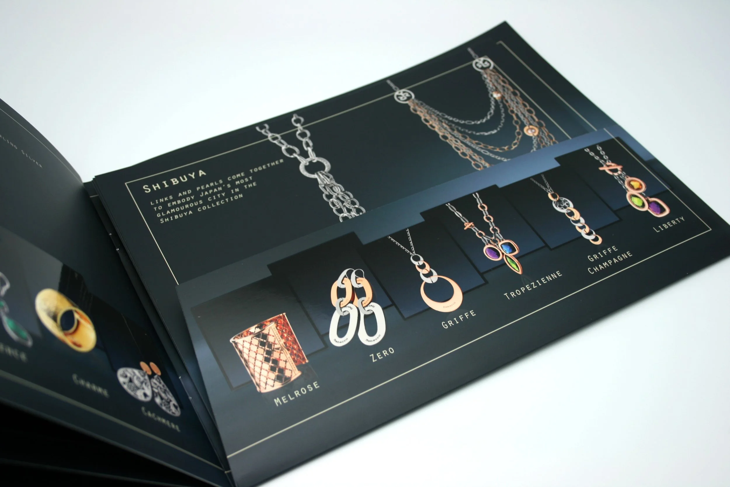 Folder type catalogue