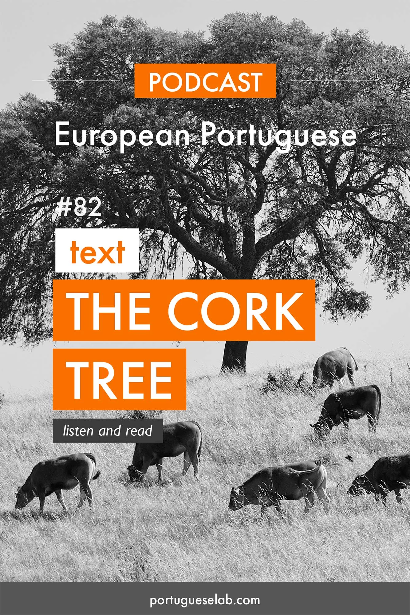 Portuguese Lab Podcast - European Portuguese - 82 - The cork tree forest.jpg