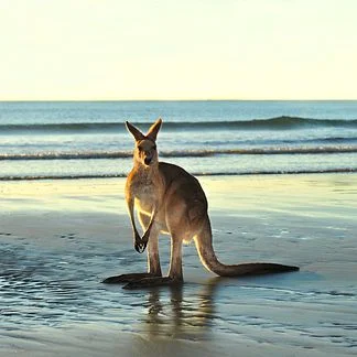 Goldcoast2.jpg