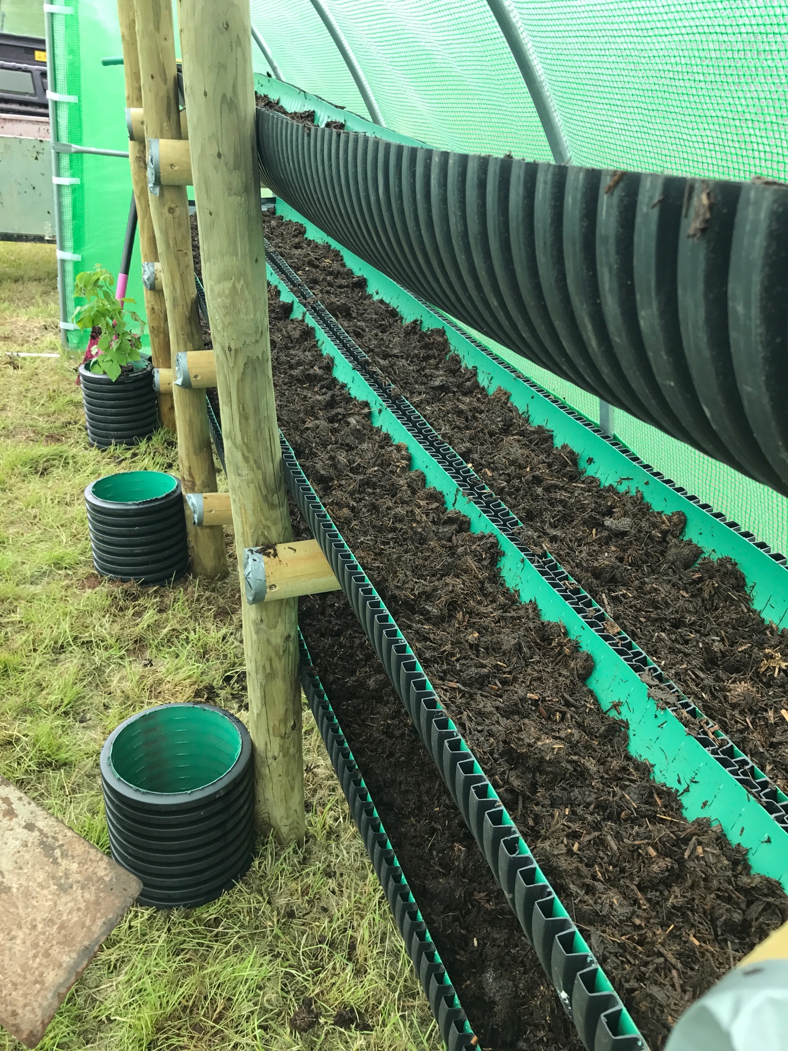 Stage 1 - lining the tubes with Miscanthus Compost