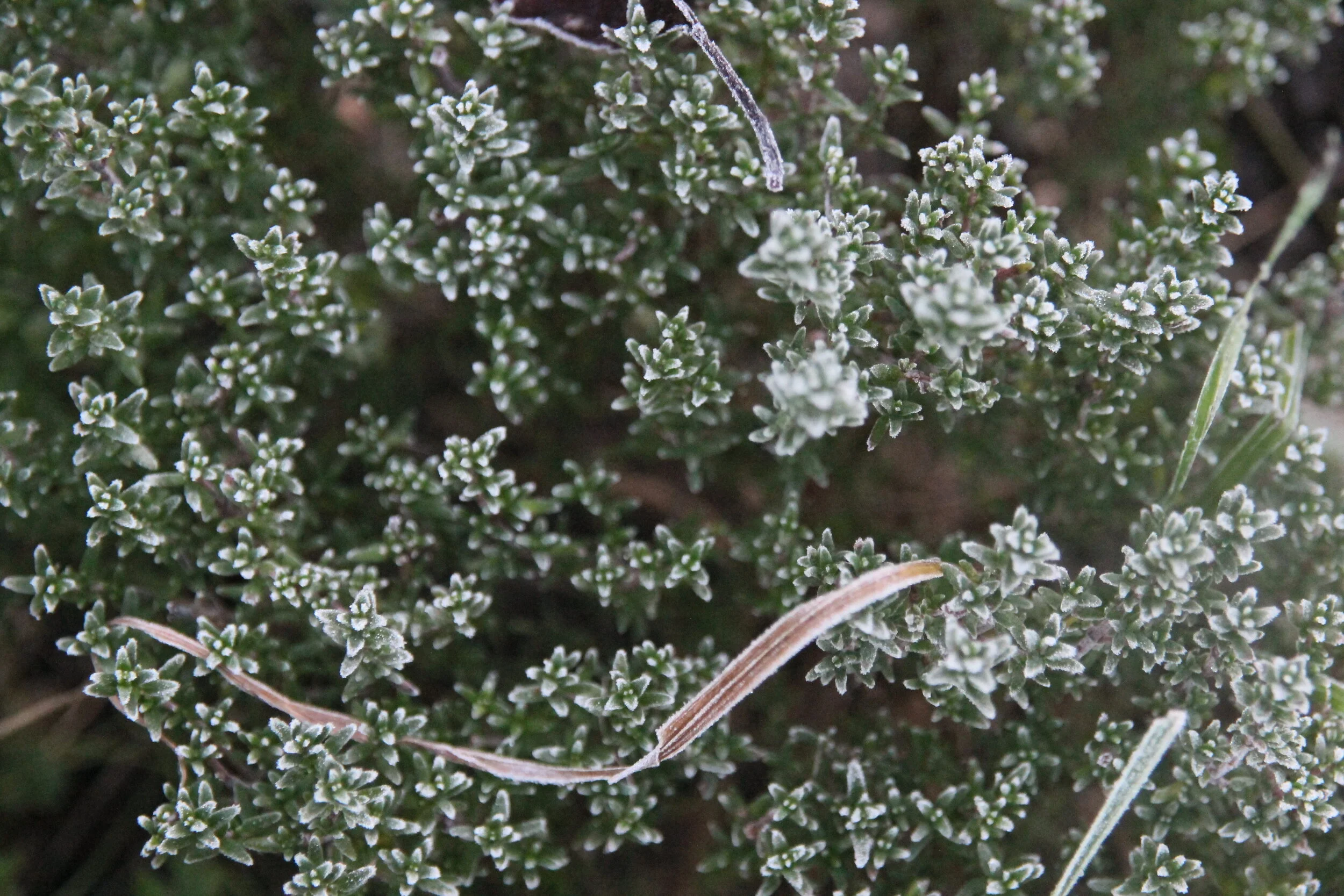 Décembre 2019 - Coups de coeur