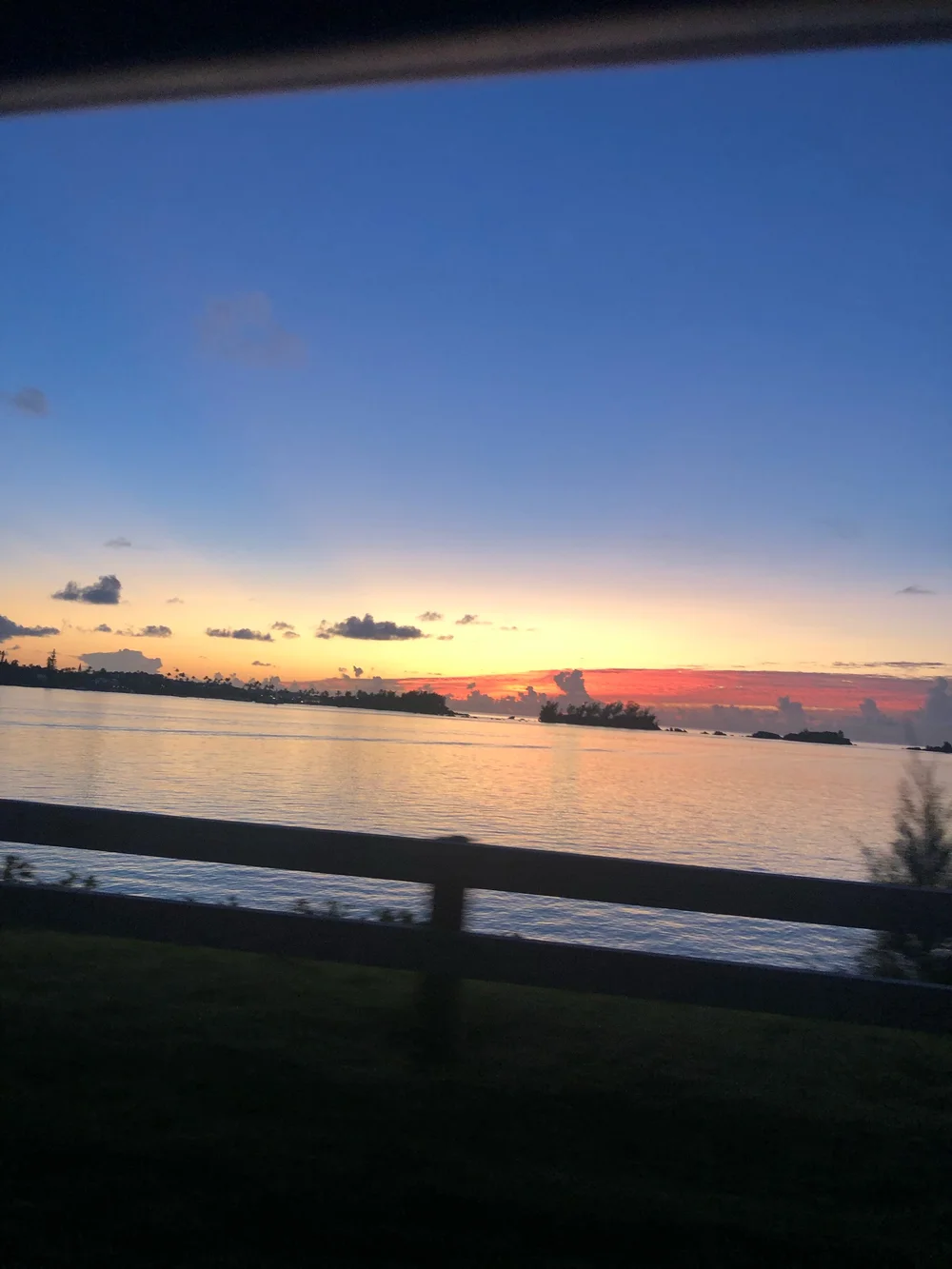 IMG_5805.jpeg