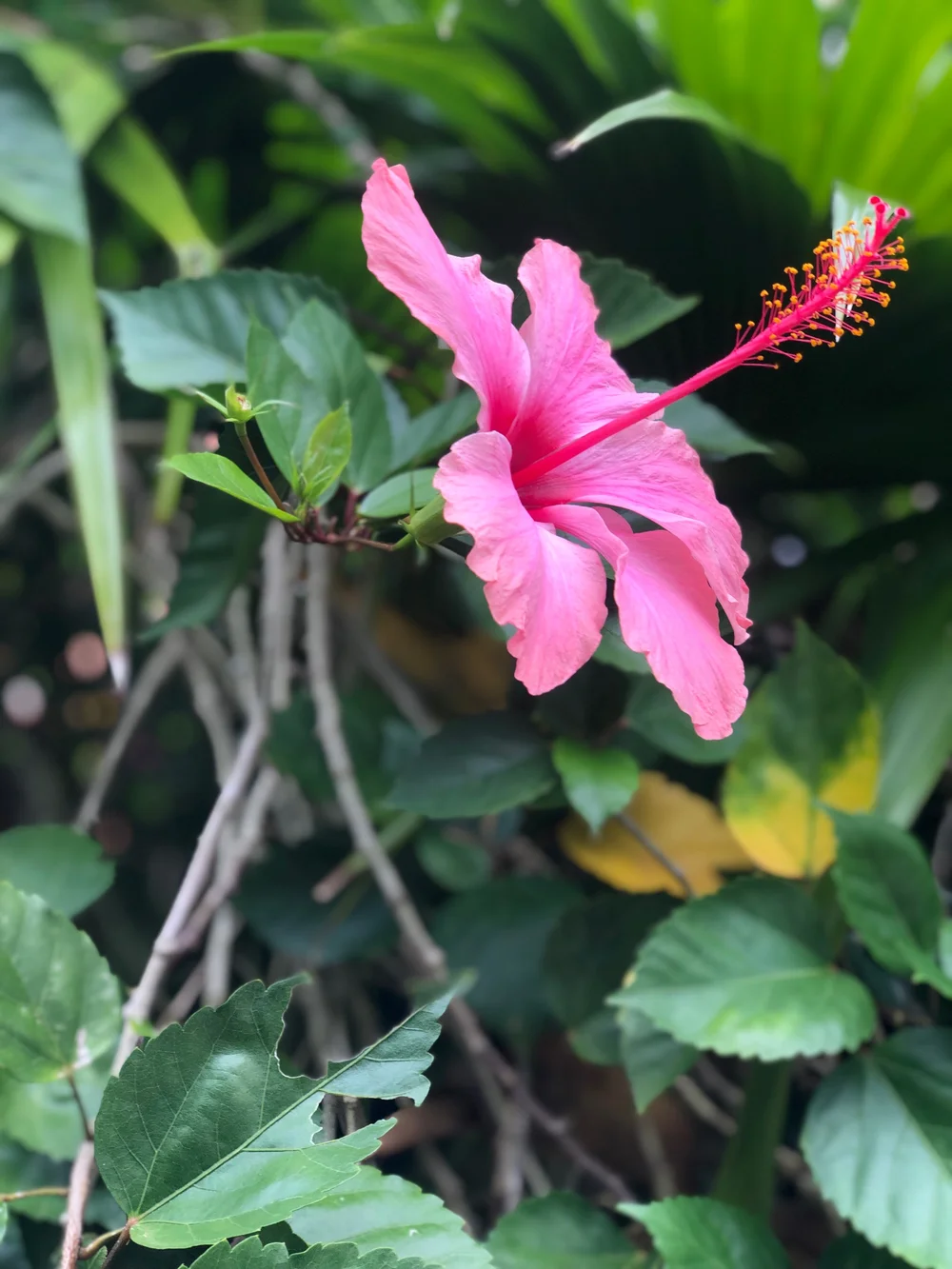 IMG_6404.jpeg