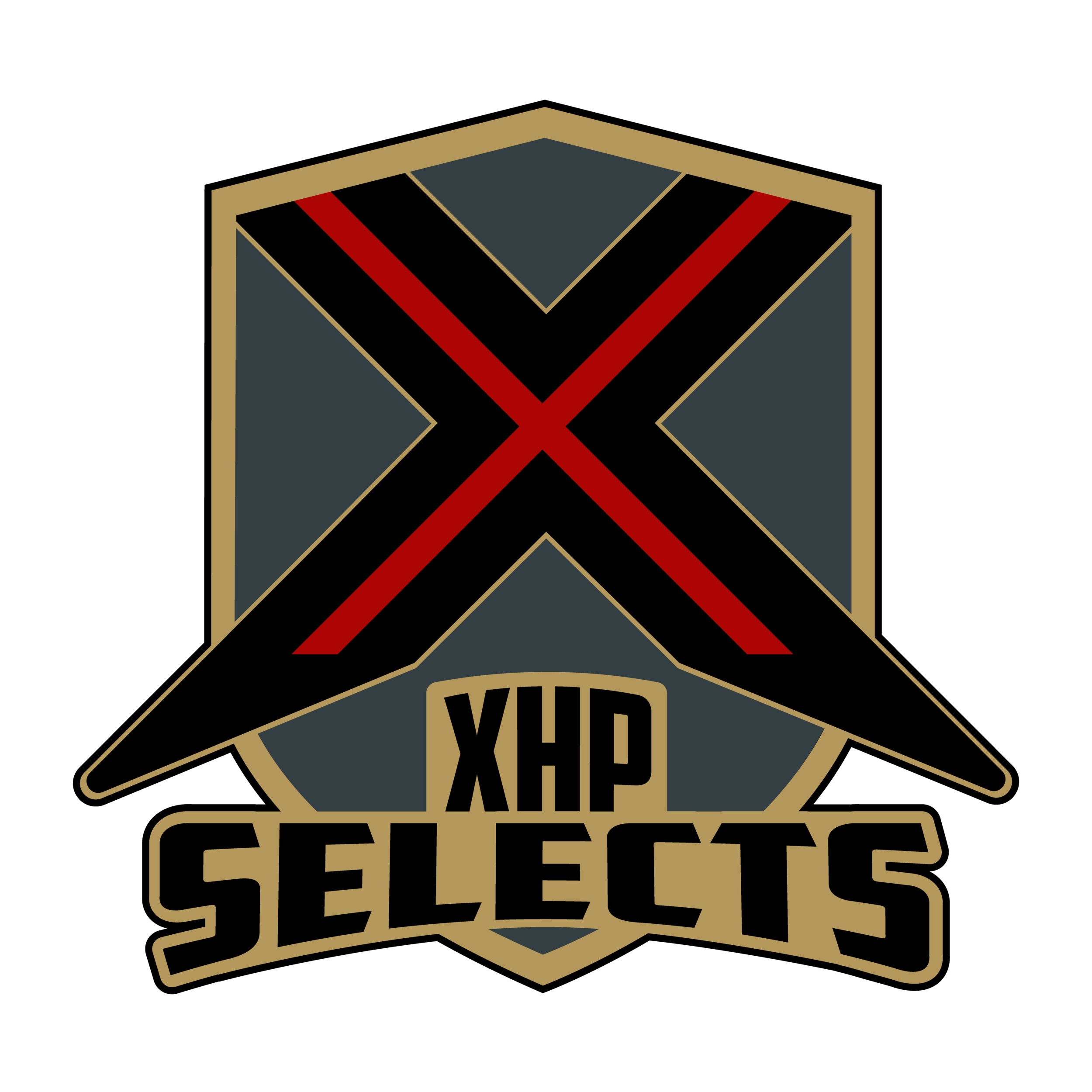 xHockey Raiders Jersey