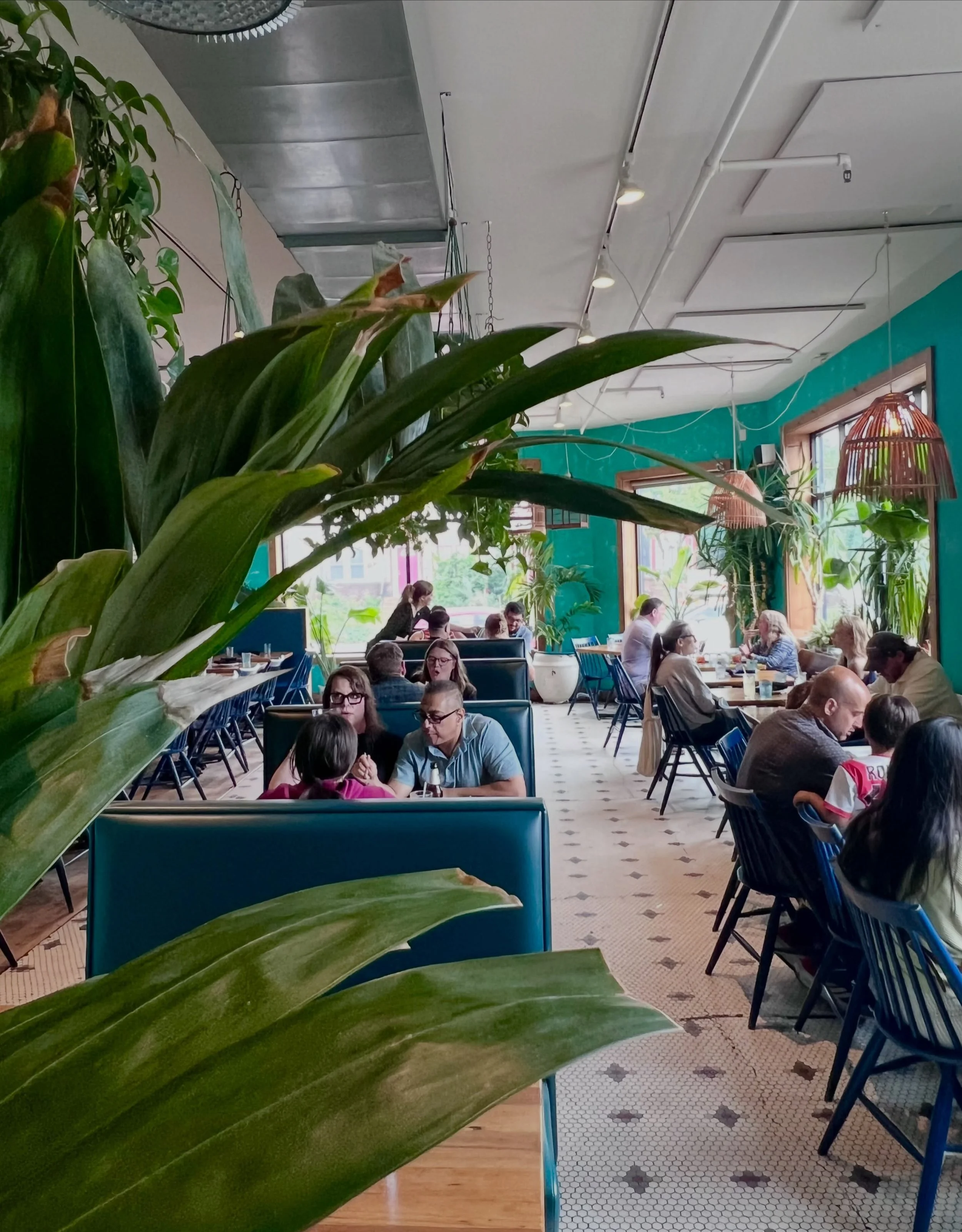 Today&rsquo;s Forecast

OUTSIDE:
🌧️ Grey skies
☔️ Rain Showers
💦 Wet shoes

INSIDE:
🌿 Jungle vibes 
🥭 Bright flavors
🪘 Fresh playlist
🍹 Vacation-worthy cocktails
😊 Your favorite people

We&rsquo;ll take this forecast any day. Come spend your r