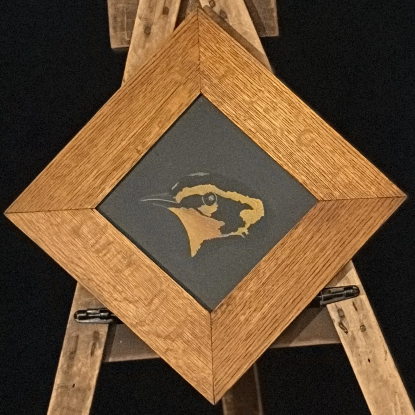 Blackburnian Warbler Portrait