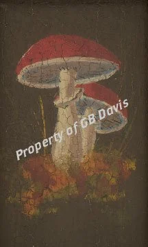 Mushroom Painting.jpg