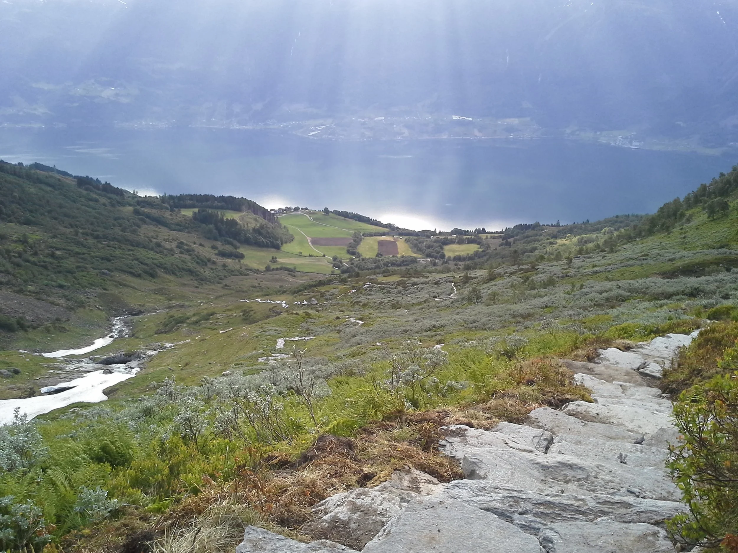20140630_080820-min.jpg