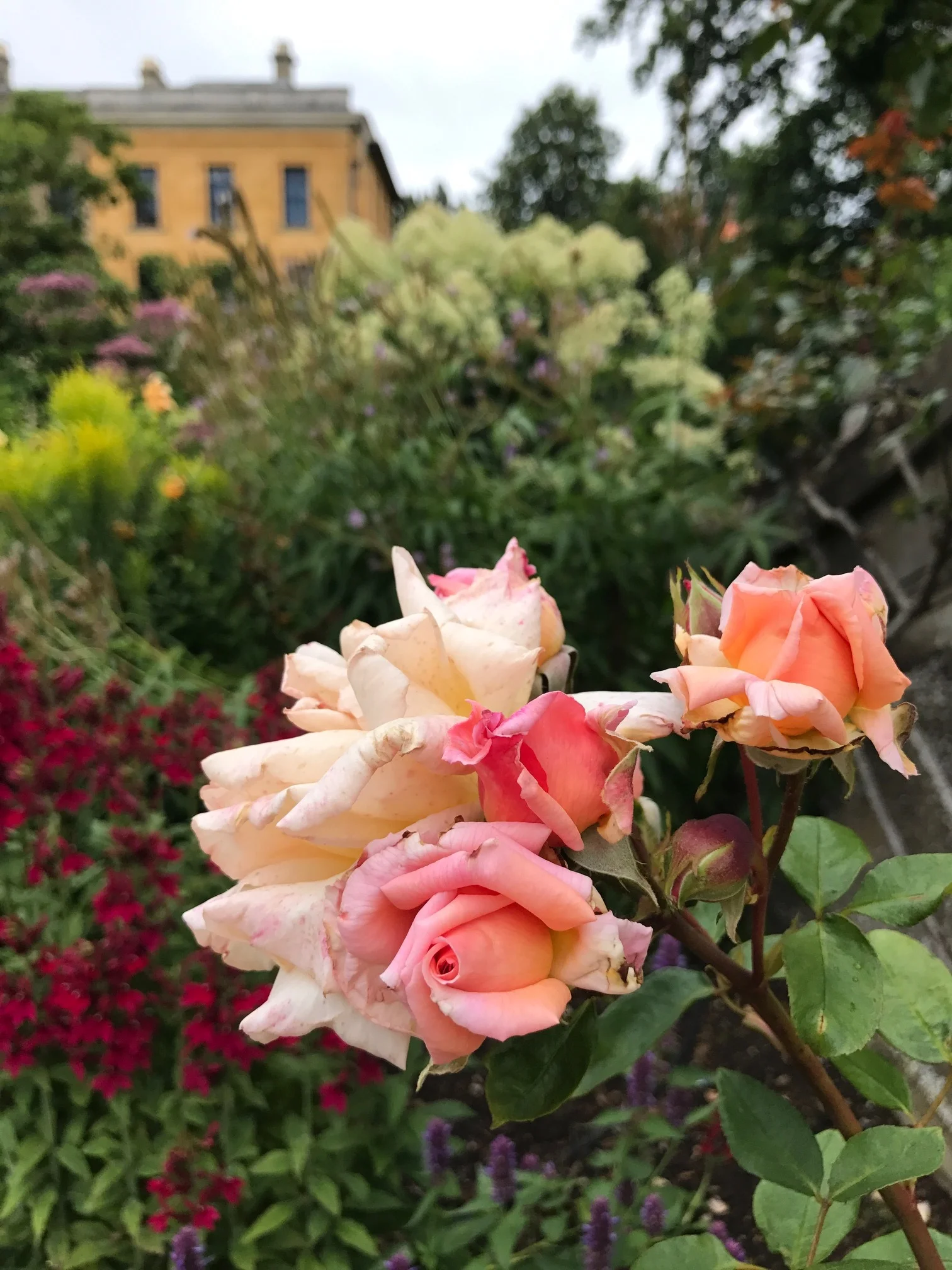 Magdalen College, Oxford