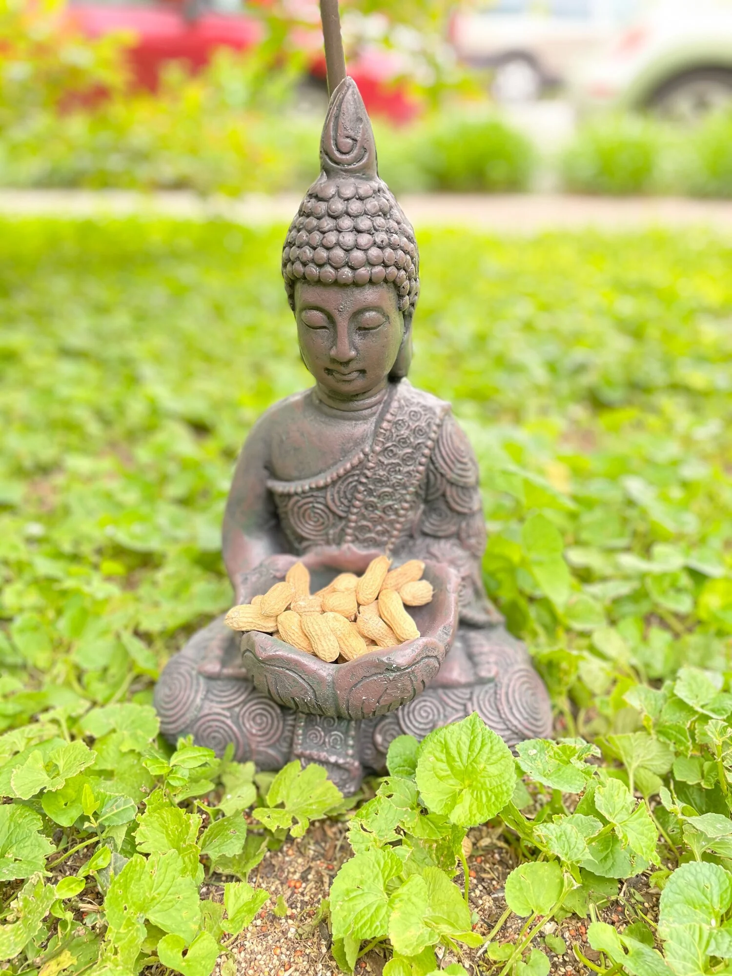 The last few days have been rainy here and I loved it.  I love lush, dark mornings. I love the sound of the rain in the trees. I love the little bouts of sun after storm.  I’ve been tending to self-care rituals in the mornings and evening