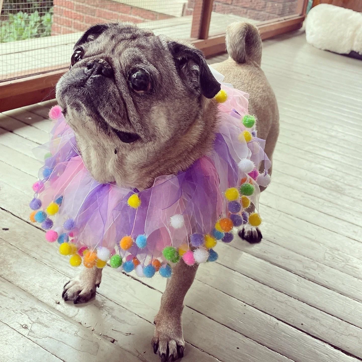 a love list for june