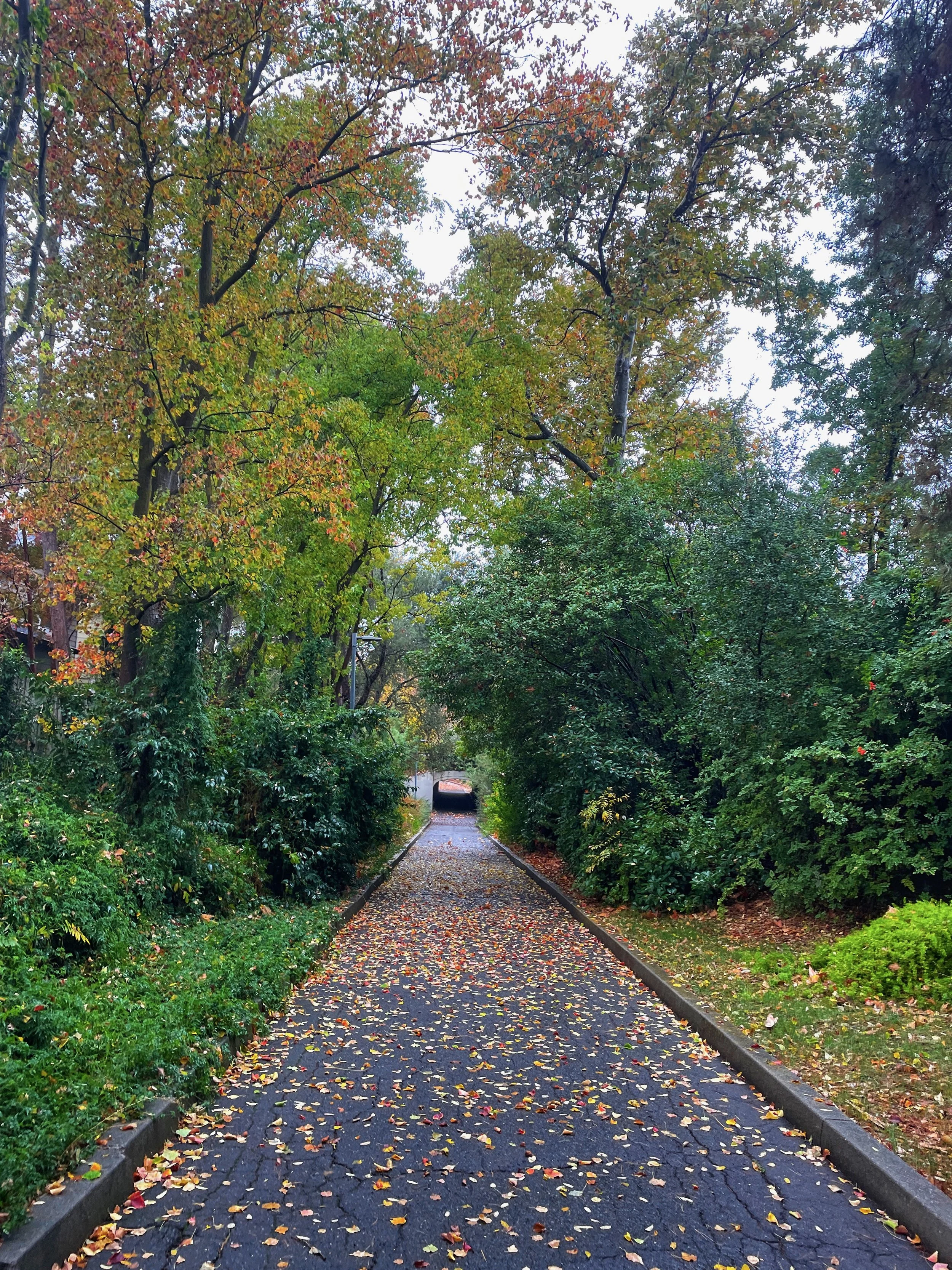 The November Love List