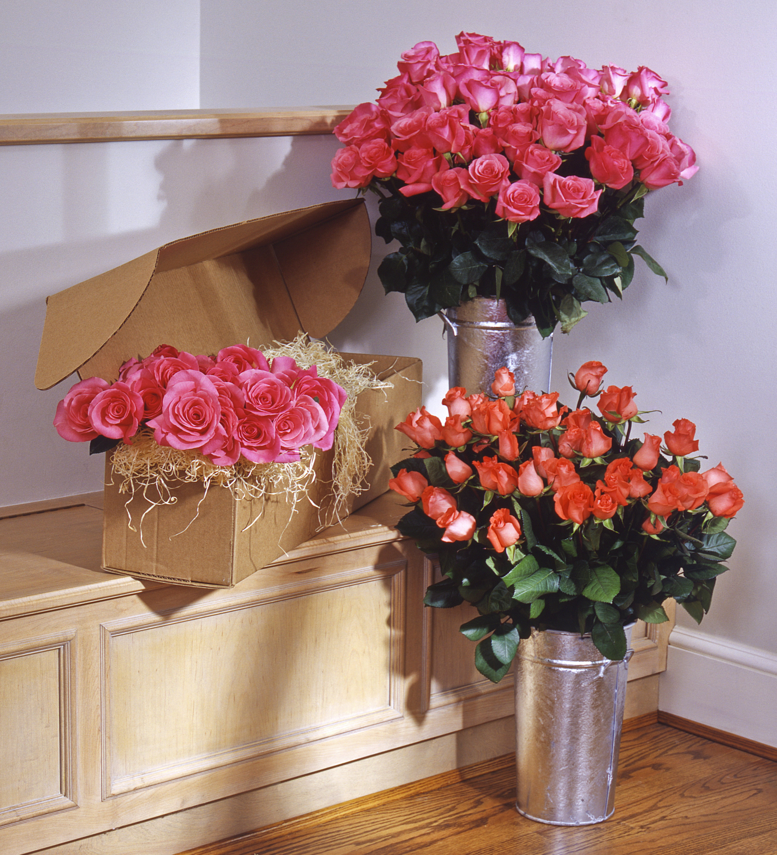 usf2393 Pink and Salmon Rose Display.jpg