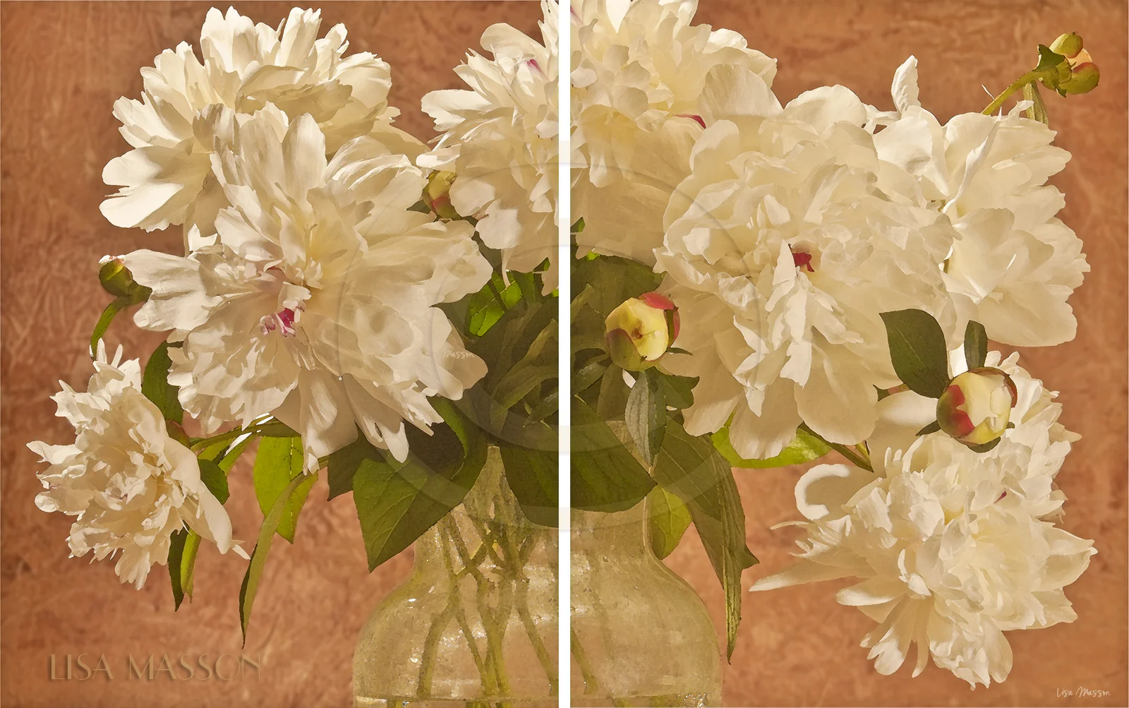 Pair of Peonies 2461.jpg