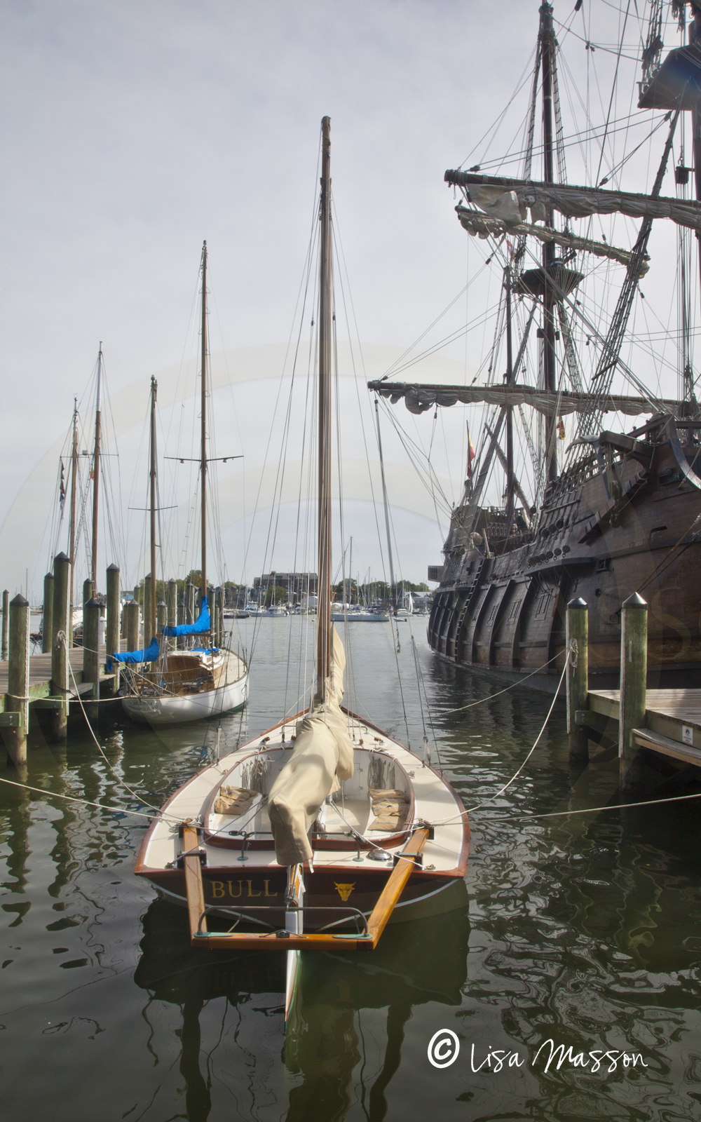 City Dock Bull El Galeon 0063.jpg