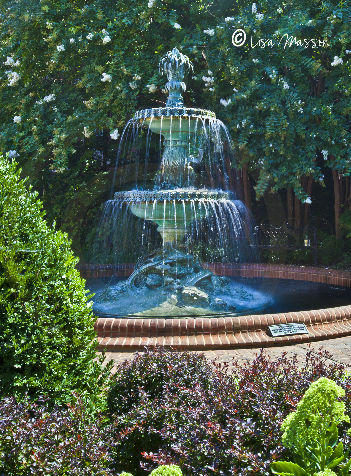 Government House Victorian Fountain 9103.jpg