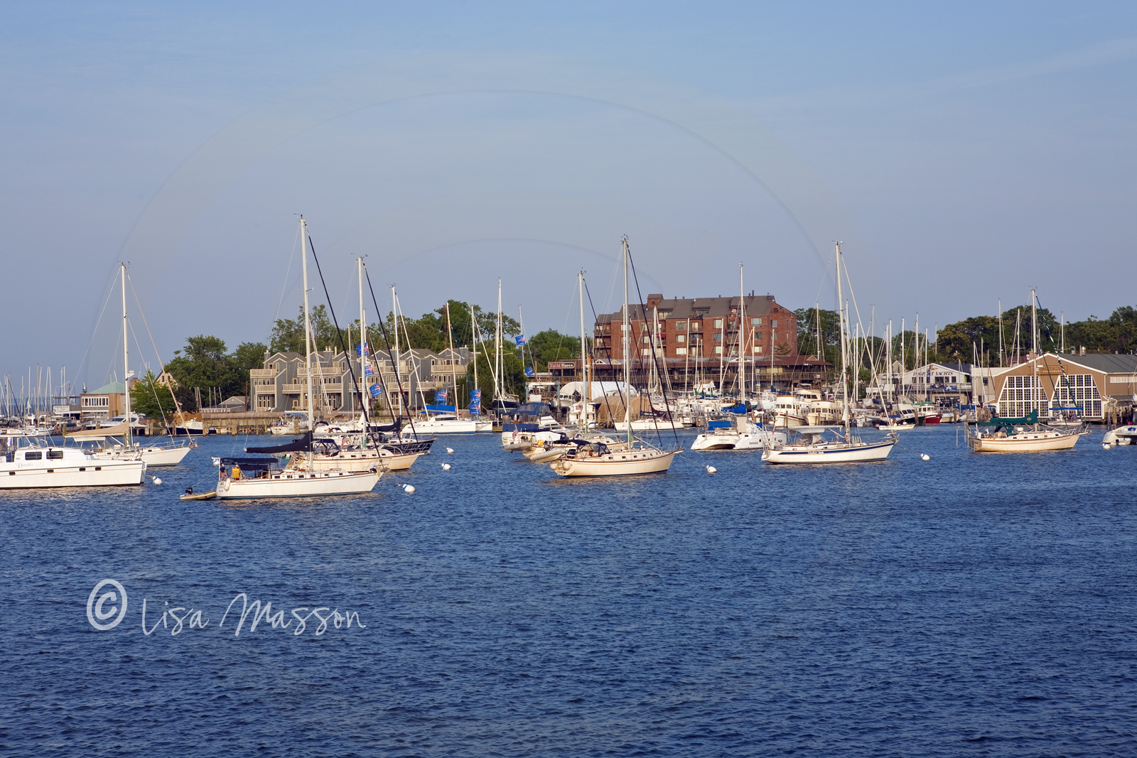 Annapolis Harbour 0194.jpg