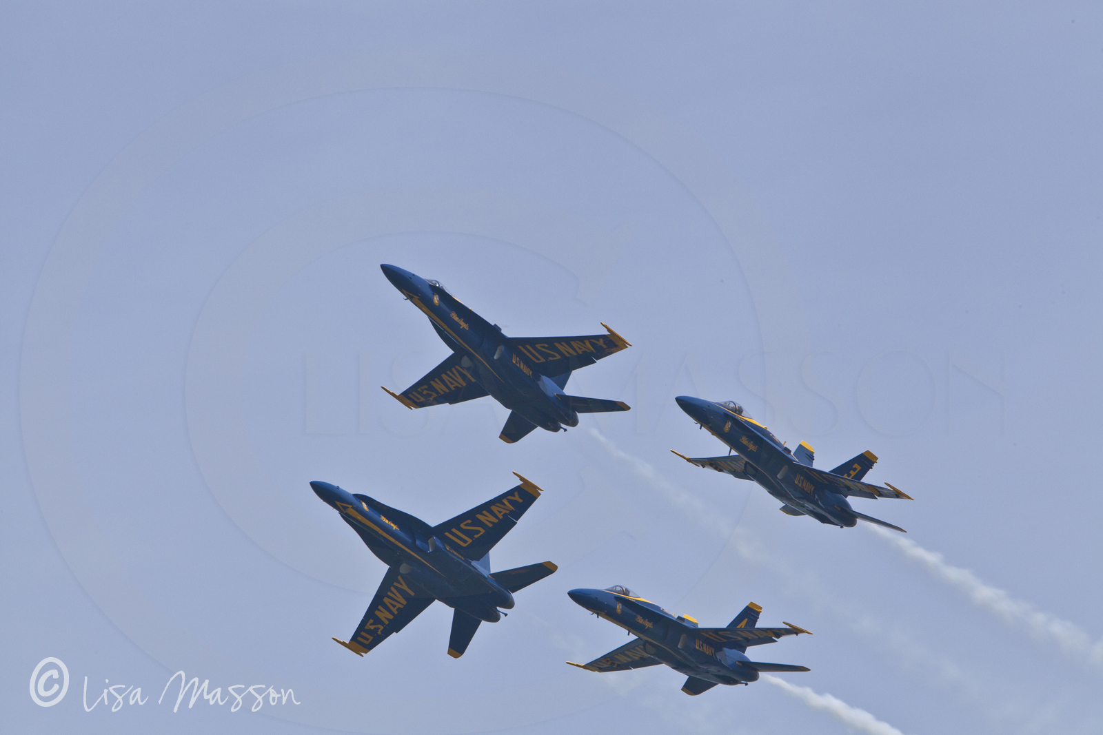 Blue Angels 4834