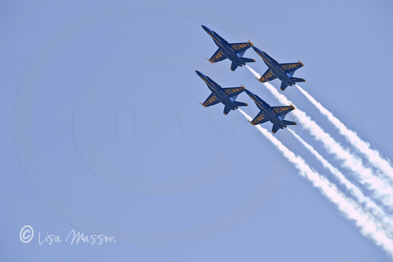 Blue Angels 5697