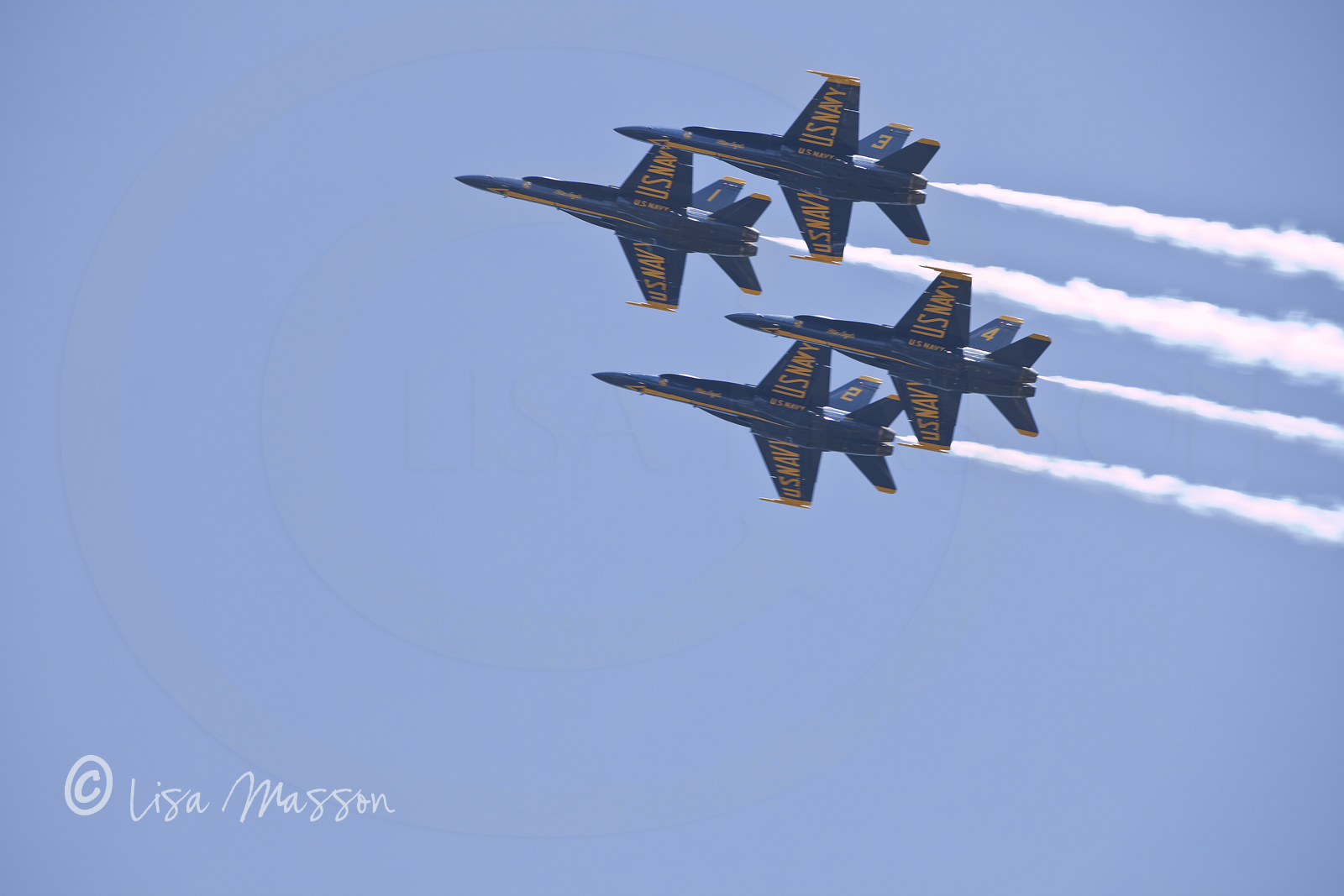 Blue Angels 5699