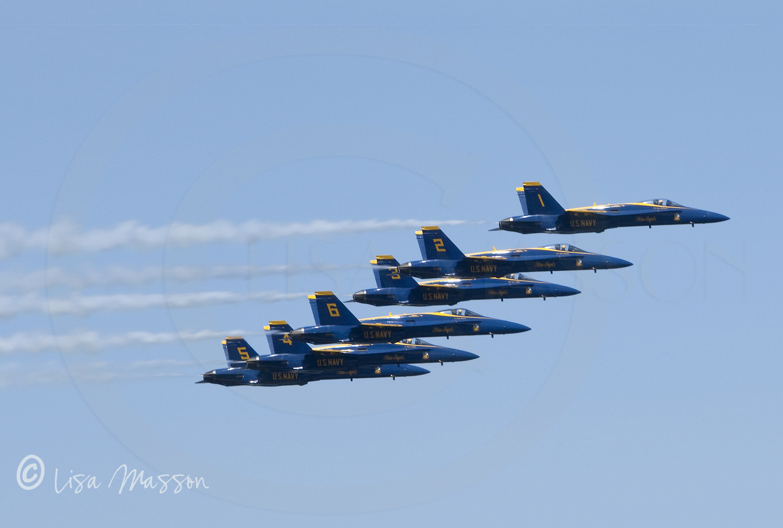 Blue Angels 5926