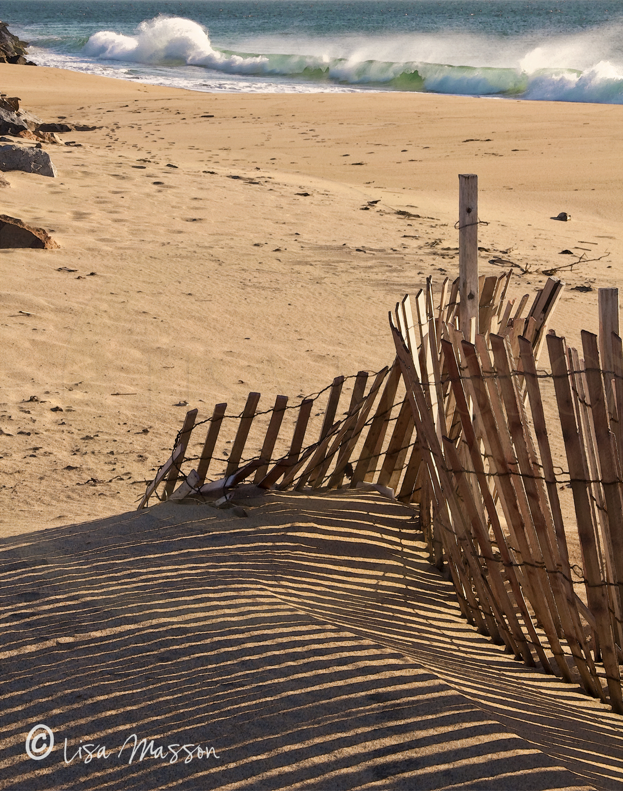 Block Island Sand Fence &amp; Ocean Waves 0130v