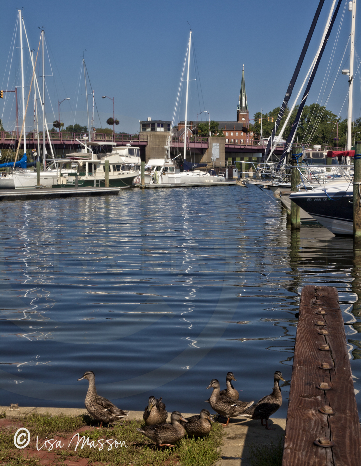 Spa Creek Eastport Bridge 5945.jpg