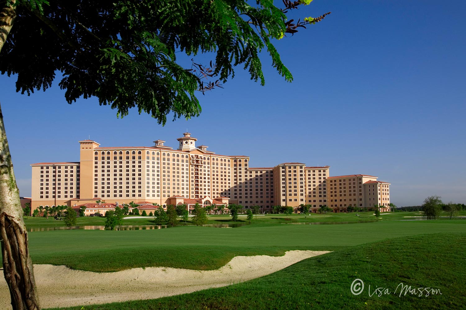 Rosen Shingle Creek Orlando, FL