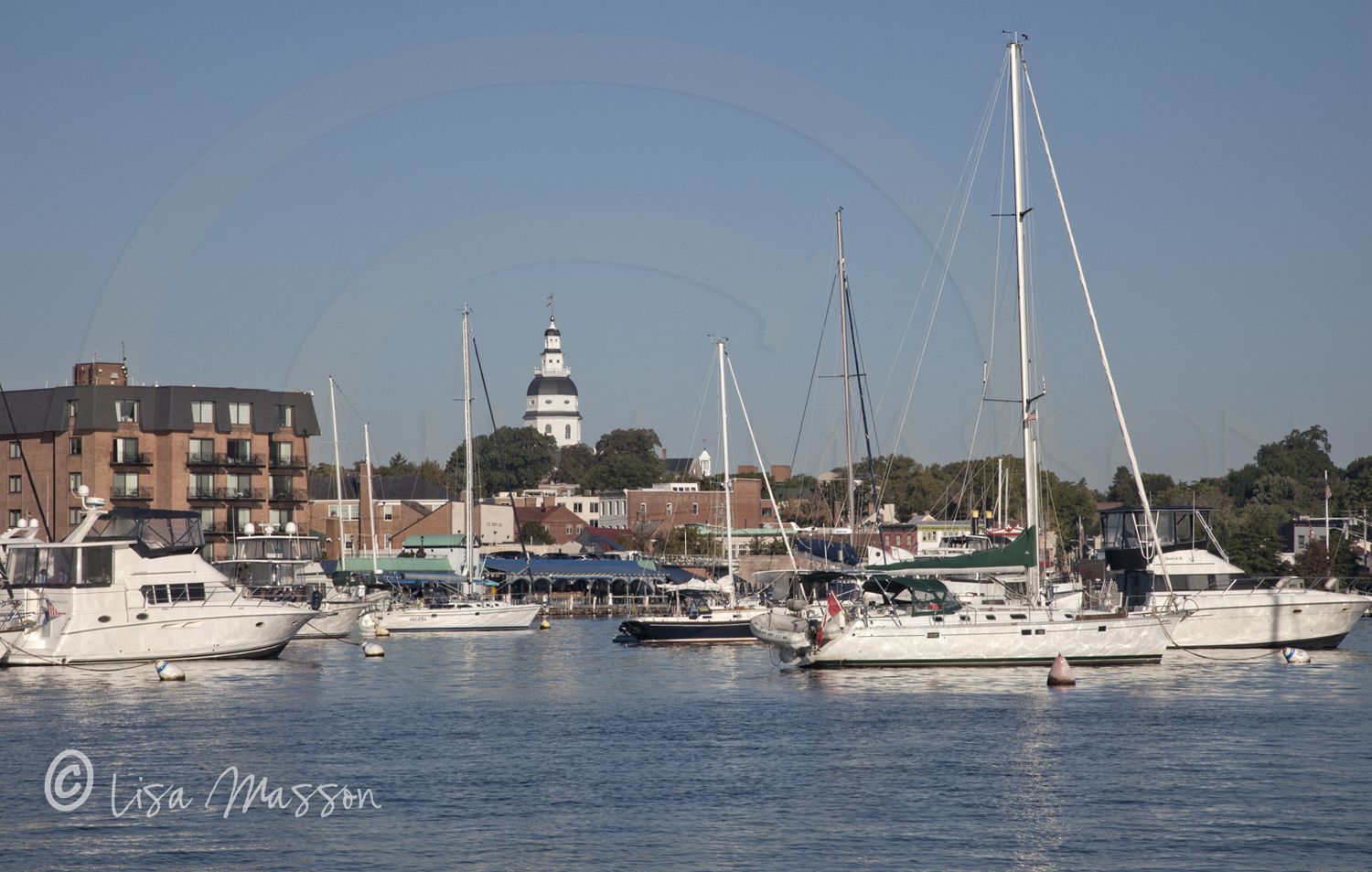 Annapolis Harbor Moorings  0738