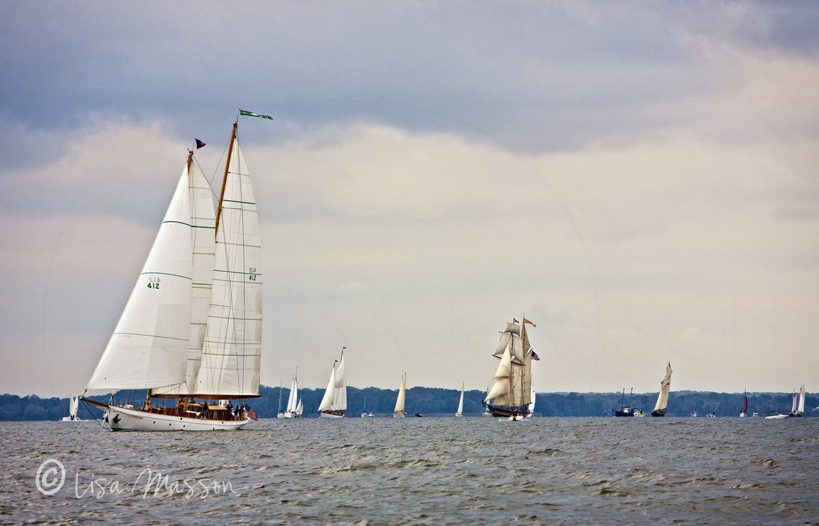 Great Chesapeake Bay Schooner Race 8306