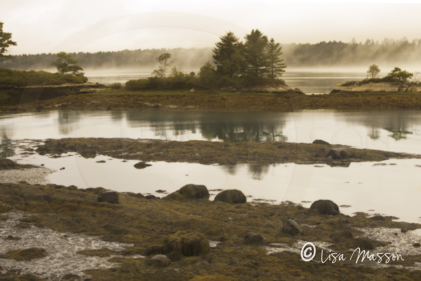 Sheepscot River Maine 1509