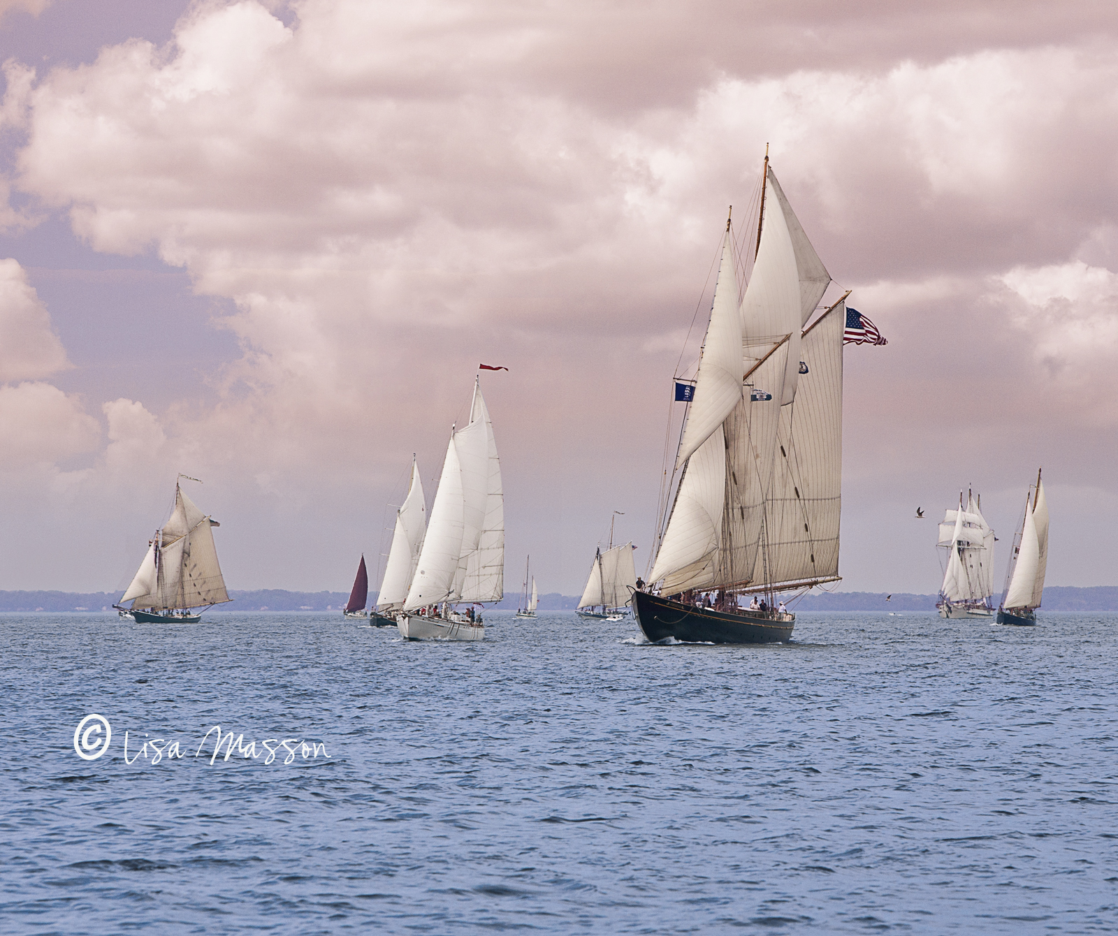 Great Chesapeake Bay Schooner Race 4181