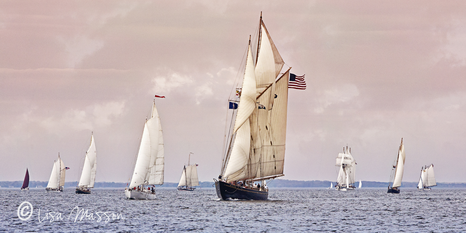 Great Chesapeake Bay Schooner Race 4185