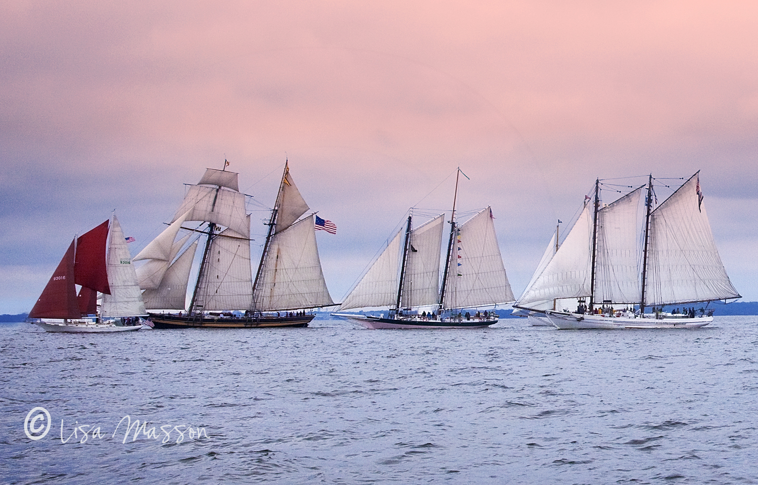 Great Chesapeake Bay Schooner Race 2660-1c