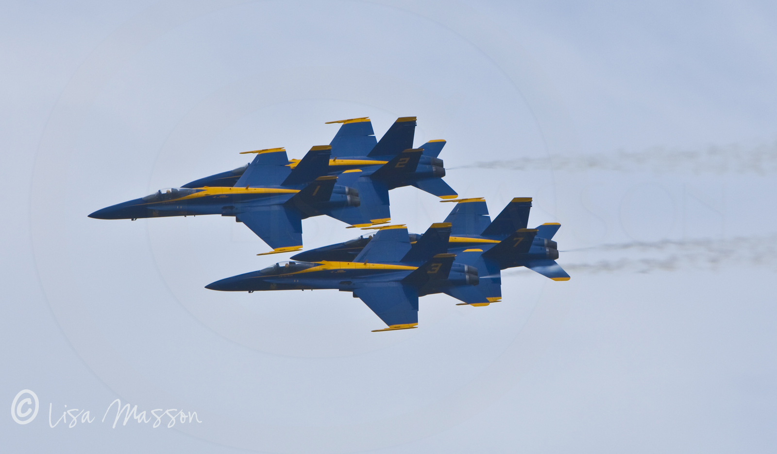 Blue Angels 1783