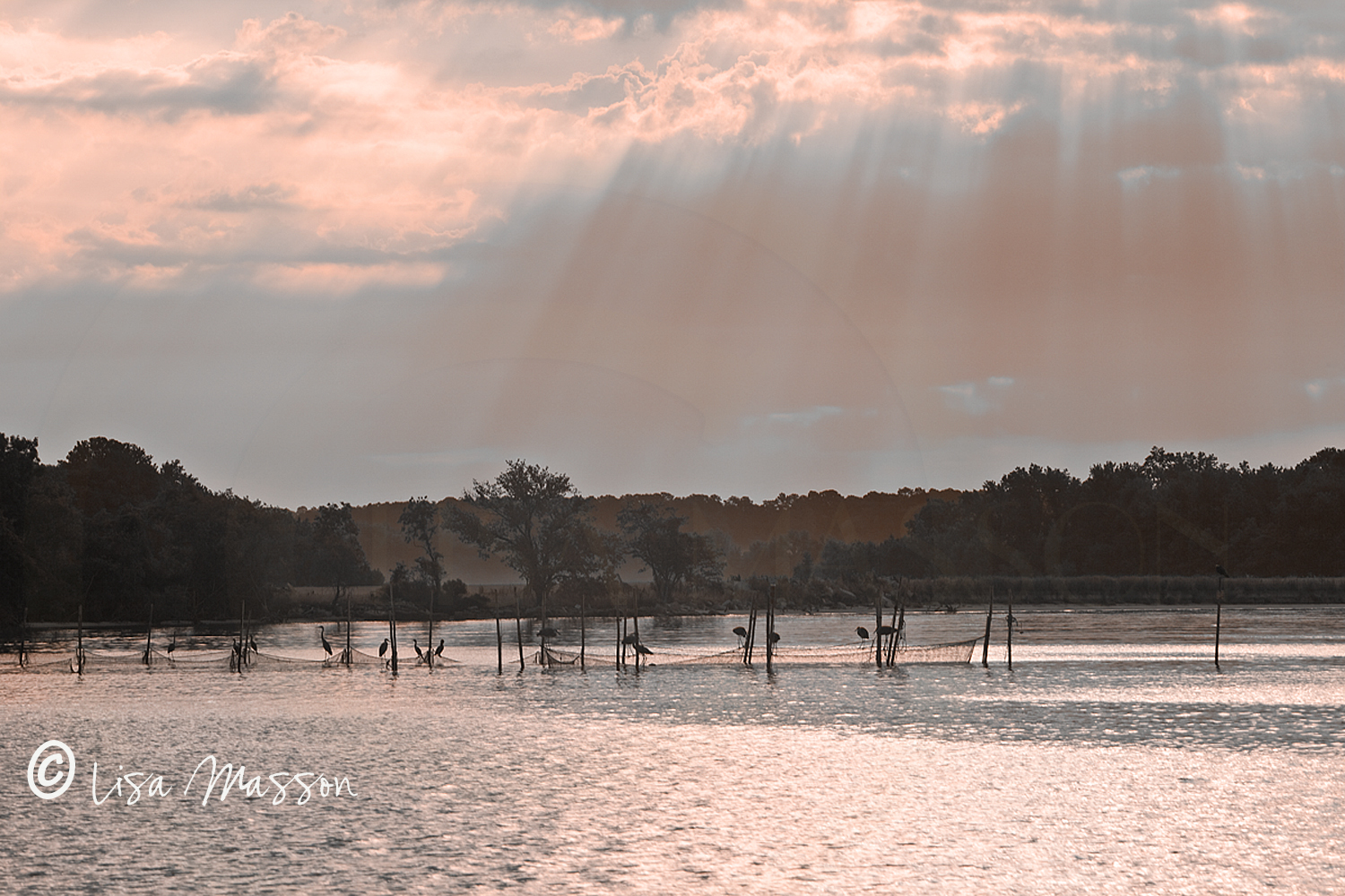 Fish Traps on the Potomac