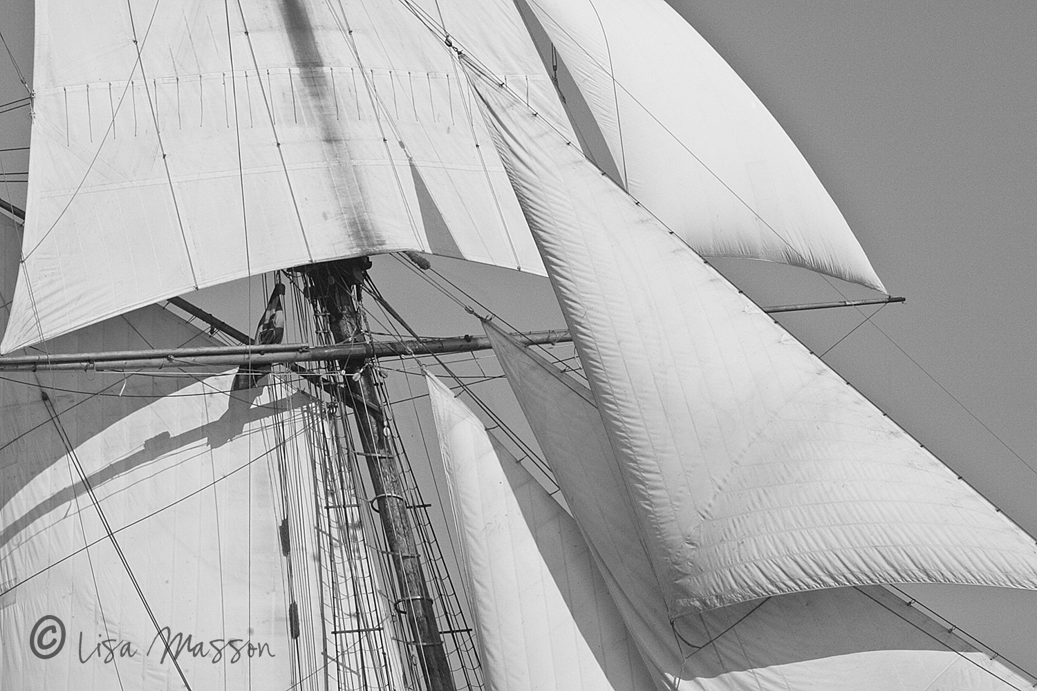 Pride of Baltimore ll Downwind 2147 b&amp;w