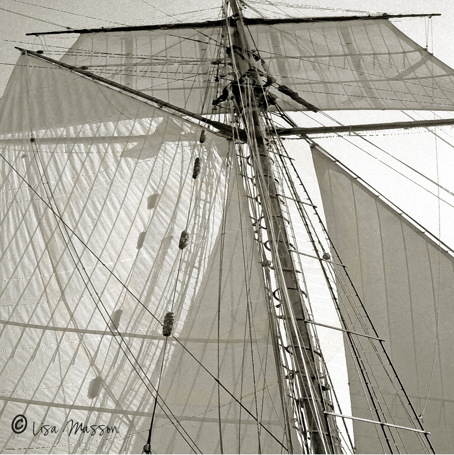 Pride of Baltimore ll Sails sepia