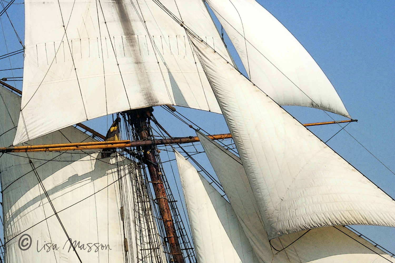 Pride of Baltimore ll Downwind 1938c