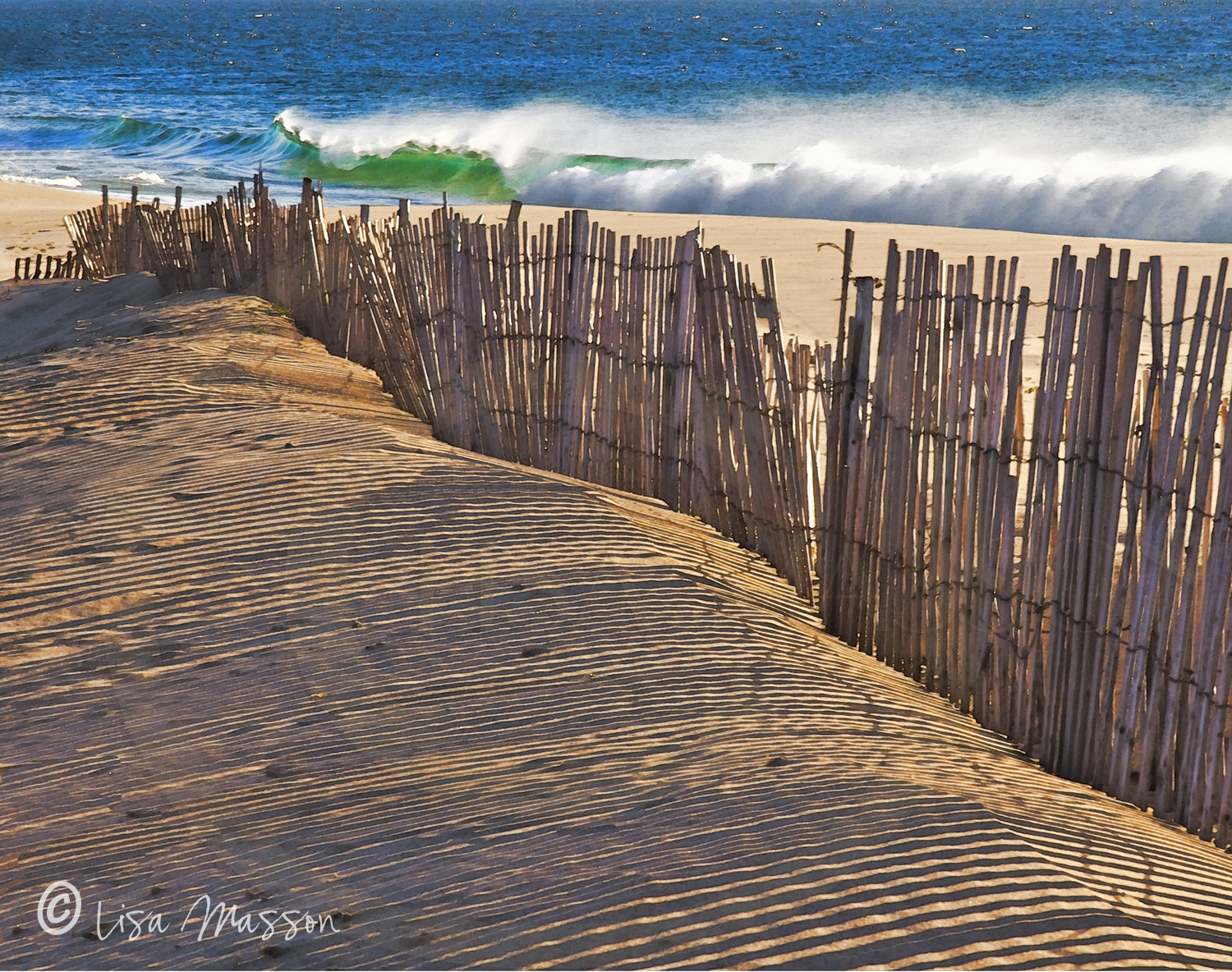 Block Island Sand Fence, &amp; Breaking Waves 2455  ©