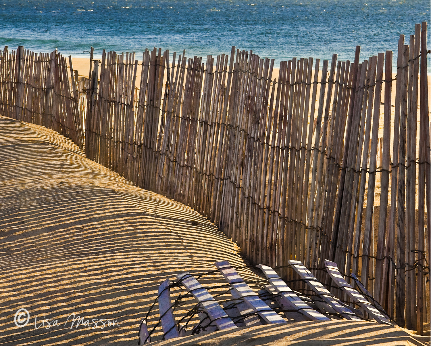 Block Island Sand Fences 2457©