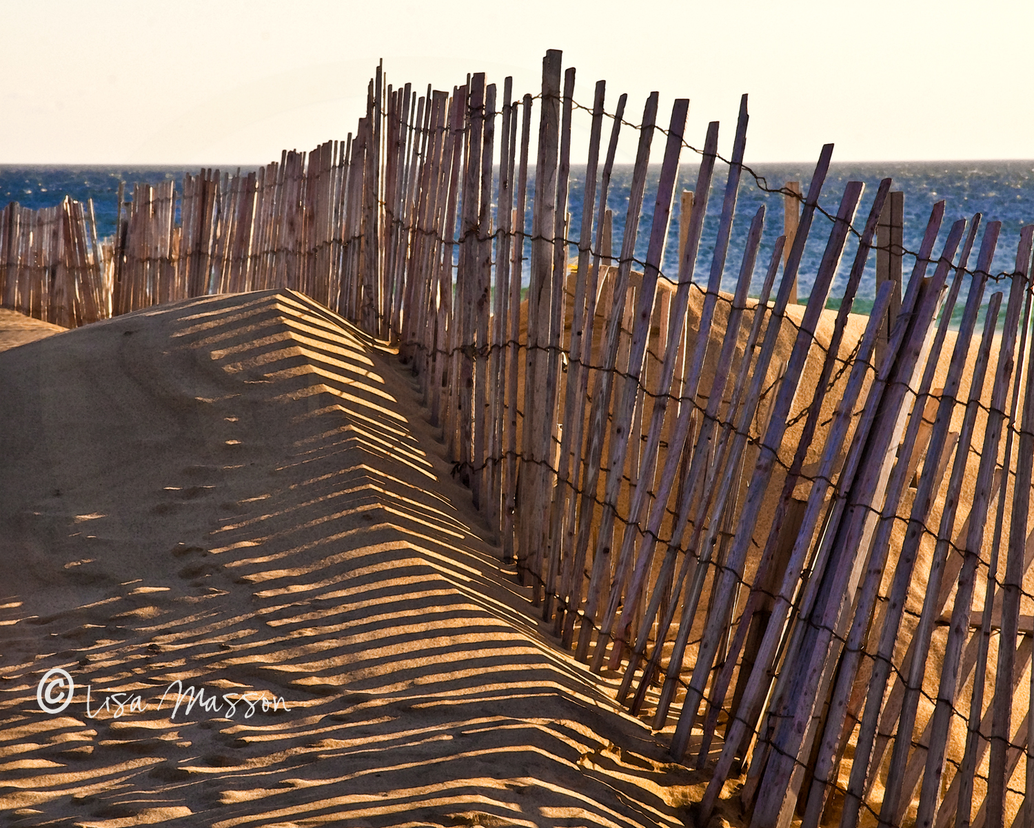 Block Island Sand Fence &amp; Dunes 2458©